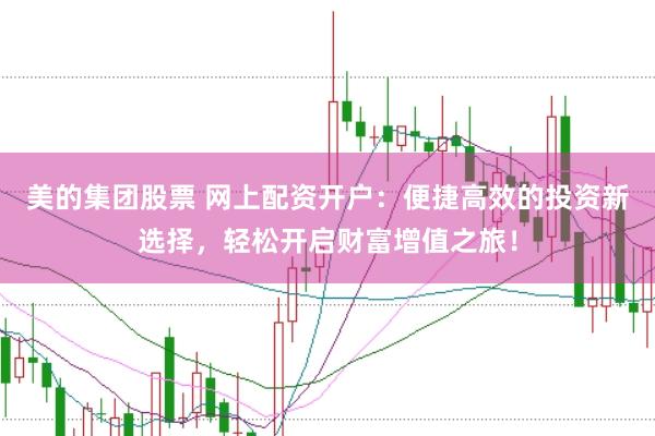 美的集团股票 网上配资开户：便捷高效的投资新选择，轻松开启财富增值之旅！