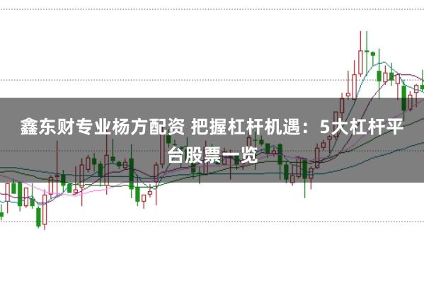 鑫东财专业杨方配资 把握杠杆机遇：5大杠杆平台股票一览