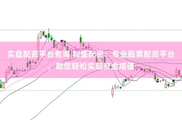 实盘配资平台查询 和盛配资：专业股票配资平台，助您轻松实现资金增值