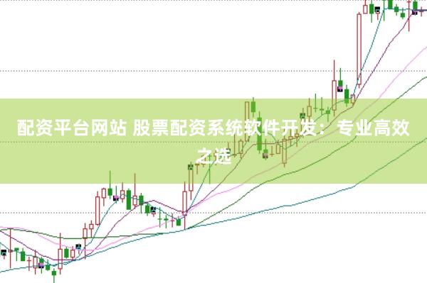 配资平台网站 股票配资系统软件开发：专业高效之选
