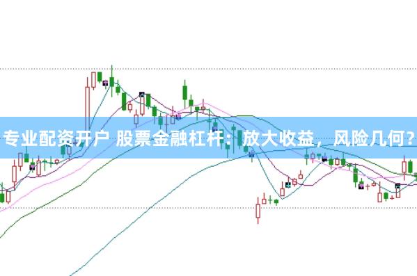 专业配资开户 股票金融杠杆：放大收益，风险几何？
