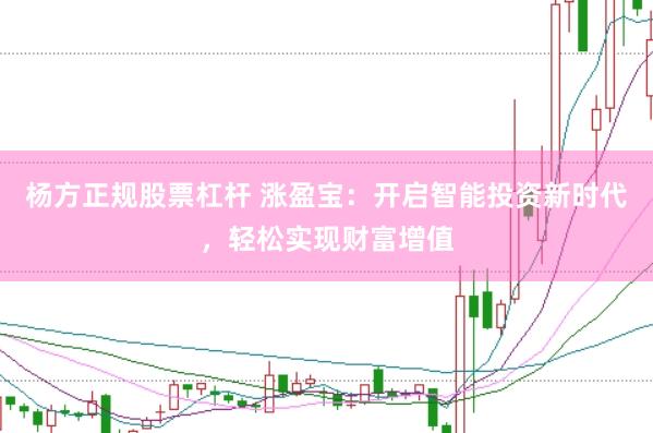 杨方正规股票杠杆 涨盈宝：开启智能投资新时代，轻松实现财富增值