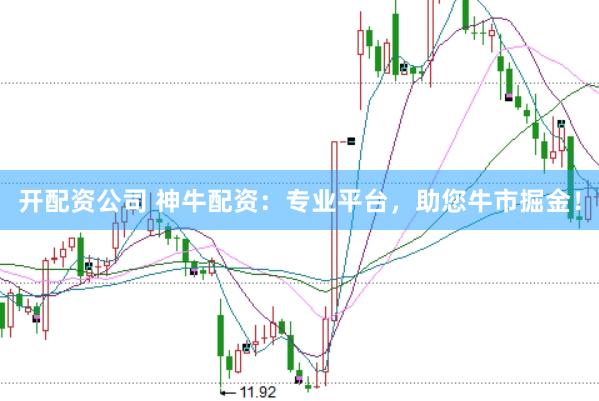 开配资公司 神牛配资：专业平台，助您牛市掘金！