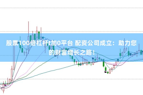 股票100倍杠杆t加0平台 配资公司成立：助力您的财富增长之路！