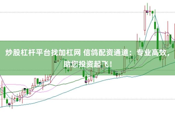 炒股杠杆平台找加杠网 信鸽配资通道：专业高效，助您投资起飞！