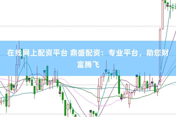 在线网上配资平台 鼎盛配资：专业平台，助您财富腾飞