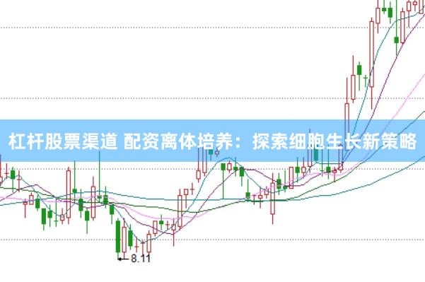 杠杆股票渠道 配资离体培养：探索细胞生长新策略