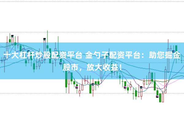 十大杠杆炒股配资平台 金勺子配资平台：助您掘金股市，放大收益！