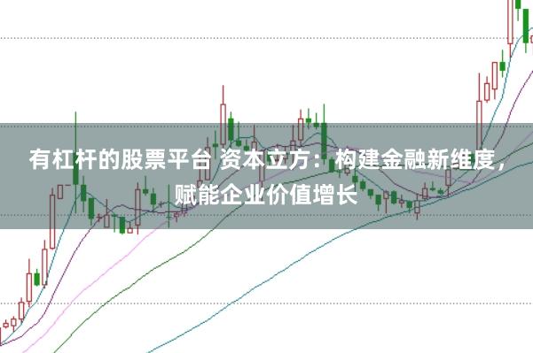 有杠杆的股票平台 资本立方：构建金融新维度，赋能企业价值增长