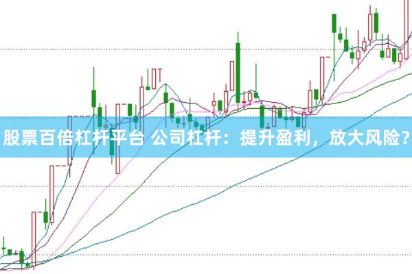 股票百倍杠杆平台 公司杠杆：提升盈利，放大风险？