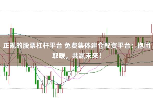 正规的股票杠杆平台 免费集体建仓配资平台:抱团取暖,共赢未来!