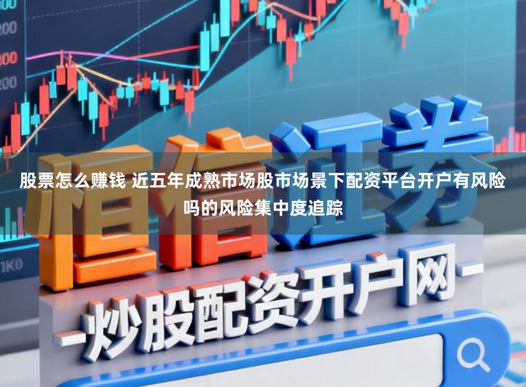 股票怎么赚钱 近五年成熟市场股市场景下配资平台开户有风险吗的风险集中度追踪